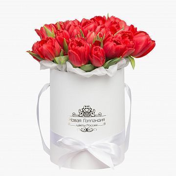 25 красных тюльпанов в белой маленькой шляпной коробке №525 25 красных тюльпанов в белой маленькой шляпной коробке №525