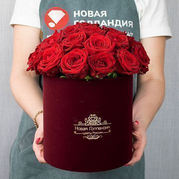 25 красных роз в бархатной коробке LUX 25 красных роз в бархатной коробке LUX